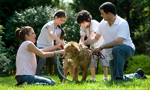Parents and their two children washing dog together on lawn.